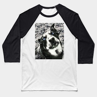 Husky Shepard Dog Baseball T-Shirt